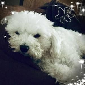 Meet your Posher, Sandra